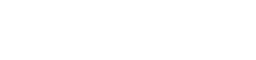 BeyondTrust white logo