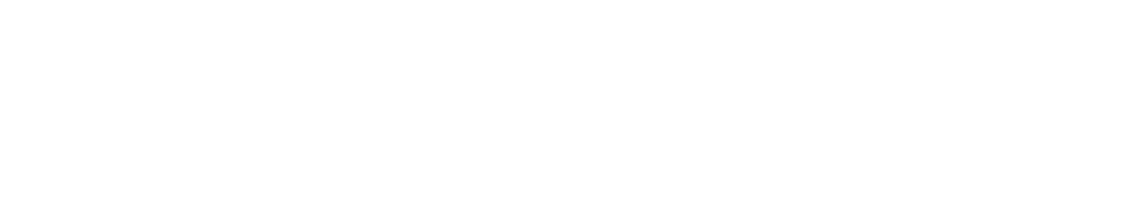 Darktrace Federal white logo
