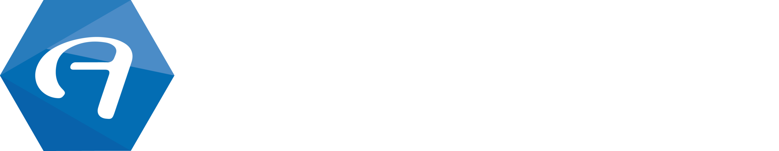 Avanquest white logo